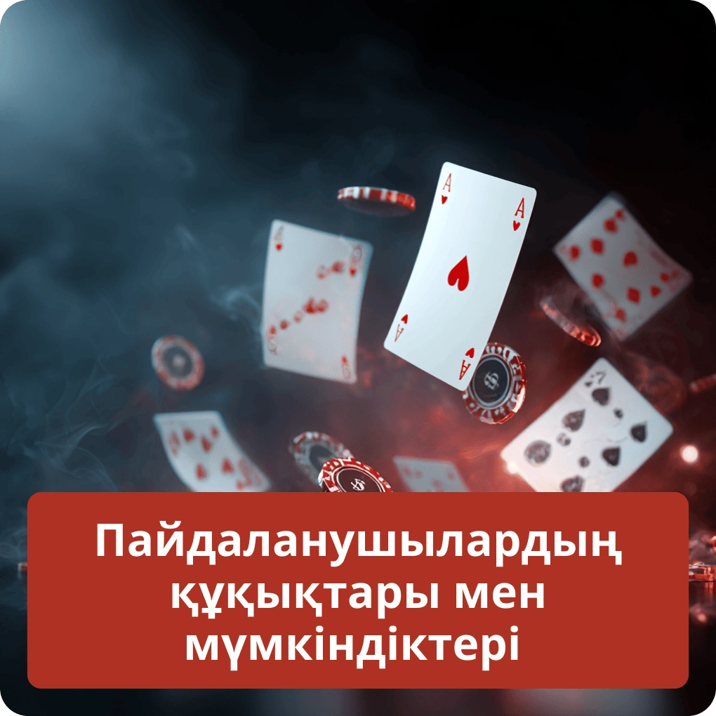 Пайдаланушылардың құқықтары мен мүмкіндіктері